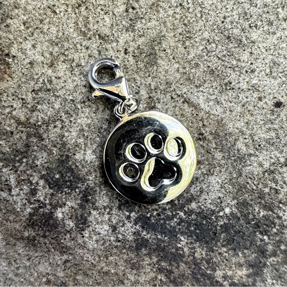 Blue Nile Sterling Silver Charm